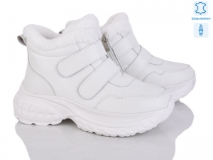 Ботинки Aelita