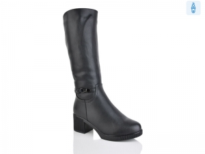 Сапоги Belle Sofia