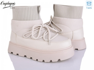 Ботинки Dageni