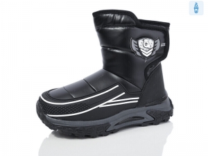 Дутики Башили