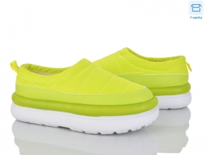 Тапочки Gollmony