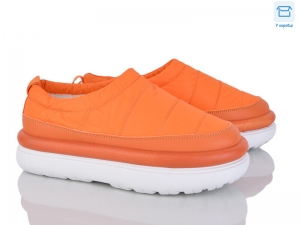 Тапочки Gollmony