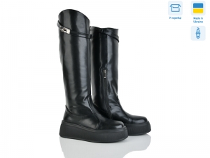 Сапоги Ailinda