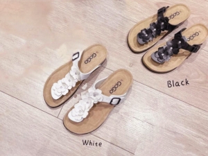 Шлепанцы Paris