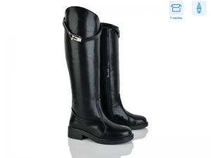 Сапоги Ailinda